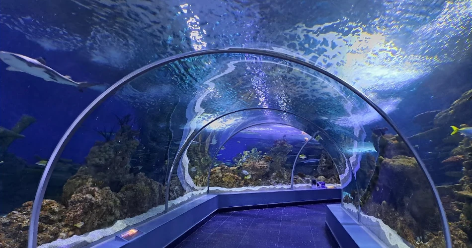 Best Day Trips from Makkah