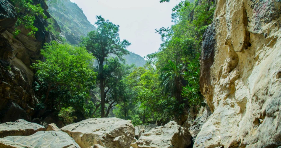 Best Day Trips from Makkah