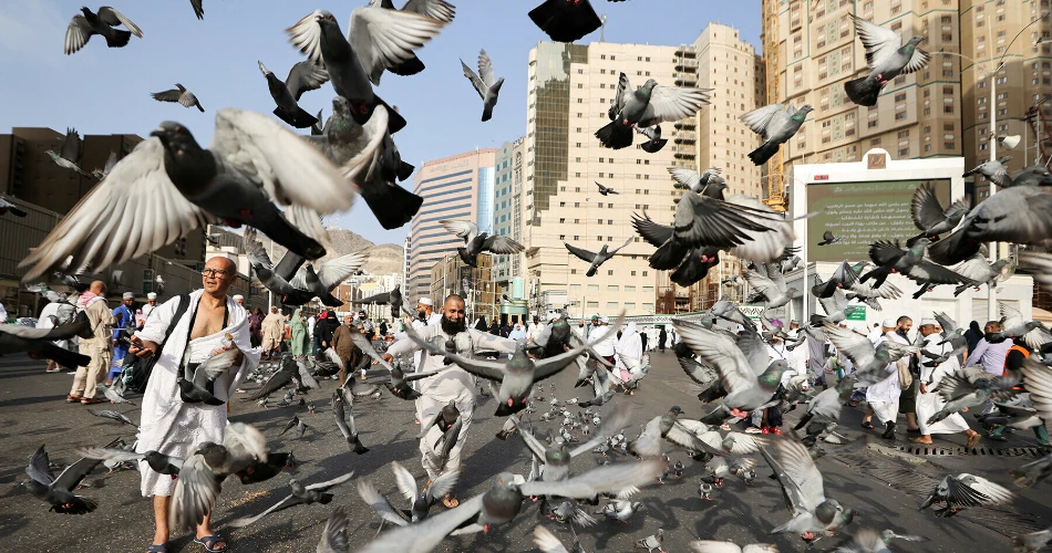 Best Day Trips from Makkah